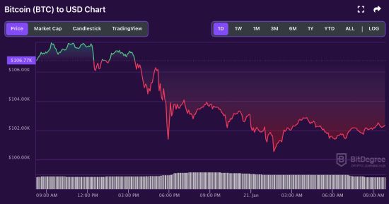 BTC price chart 01-20