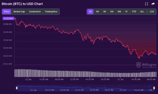 BTC price chart 01-23