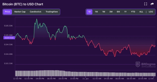 BTC price chart 01-31