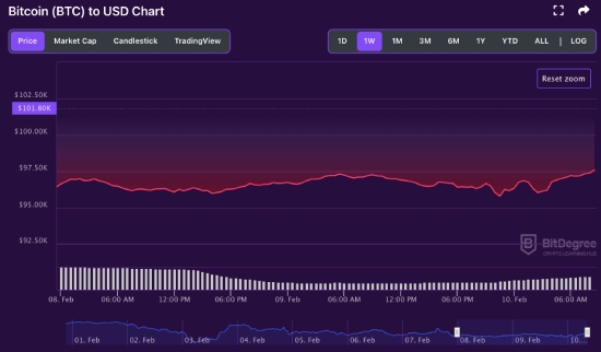 BTC price chart 02-10