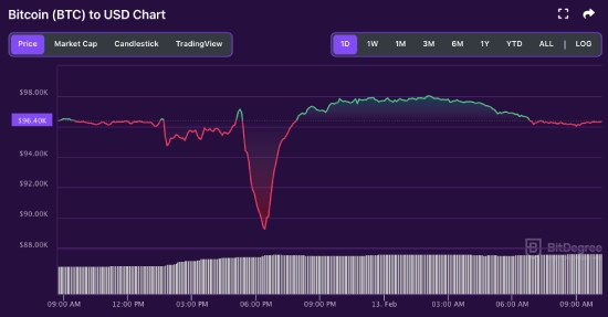 BTC price chart 02-13