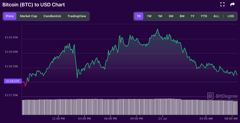 BTC price chart 07-23