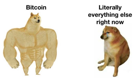 Bitcoin vs. Literally everything else