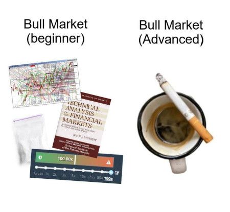 Bull market beginner vs. Advanced