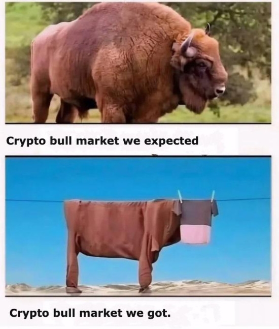 Bull market we expected vs what we got