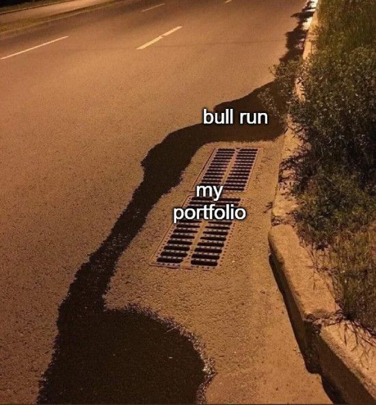 Bull run dodging my portfolio