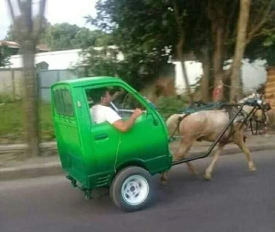 Car horse
