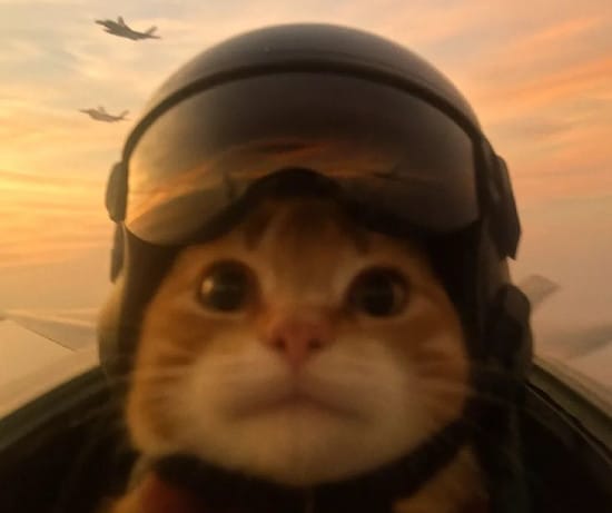 Cat pilot