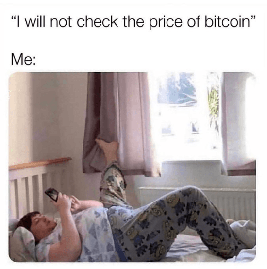 Checking the price of Bitcoin