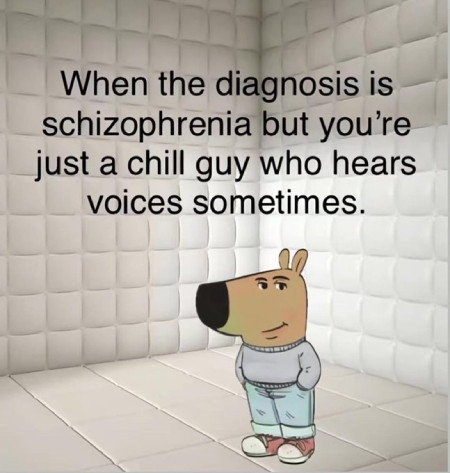 Chill guy with schizophrenia