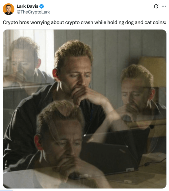 Crypto bros worrying about crash