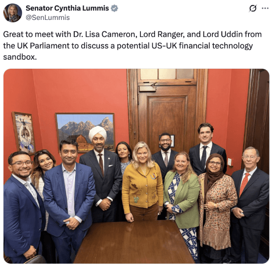 Cynthia Lummis' tweet about UK-US sandbox