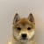 It's just a Dog (DOG) memecoin logo