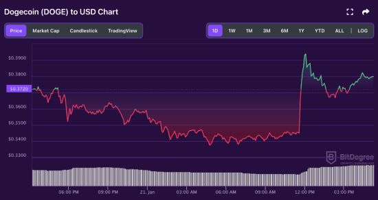 DOGE price chart 01-21