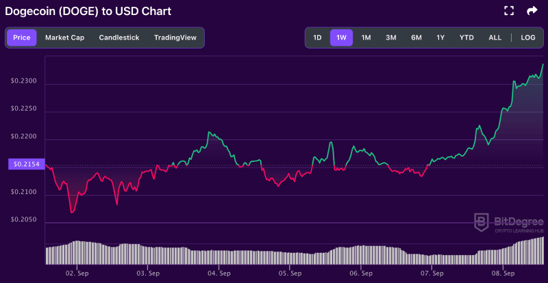 Dogecoin price chart from BitDegree, 09-08