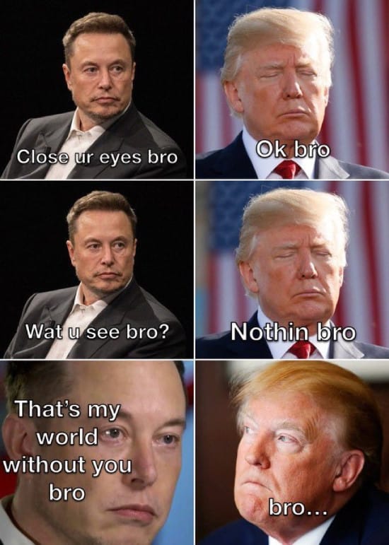 Elon Musk and Donald Trump reconciling