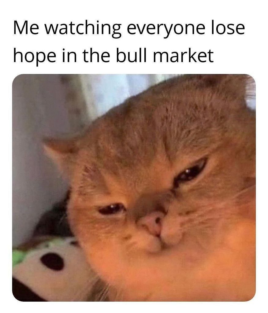 Everyone losing hope in the bull market