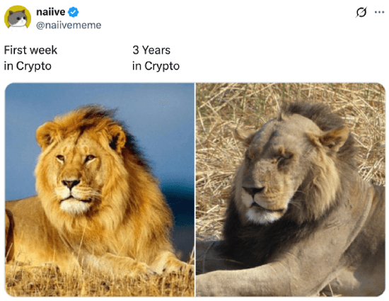 First week vs. 3 years in crypto
