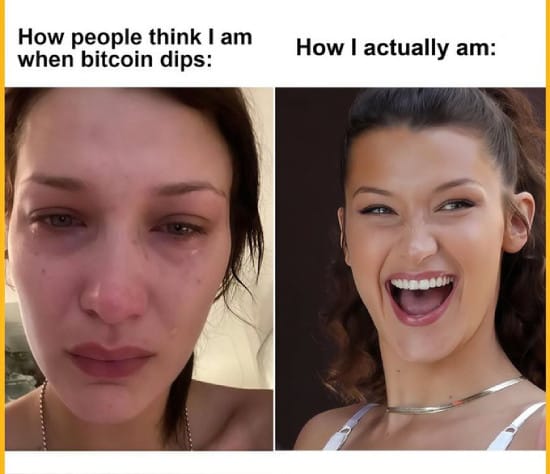 Happy when Bitcoin dips