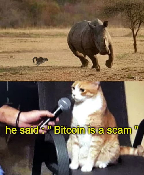 He said Bitcoin is a scam