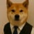 Dog In Vest