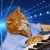 Keyboard Cat