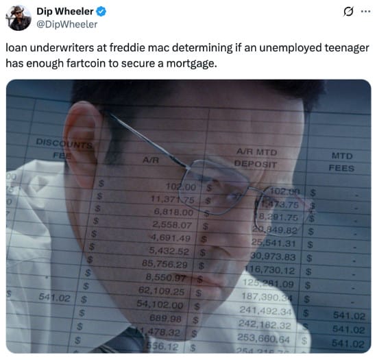 Loan underwriters determining if a teen has enough Fartcoin
