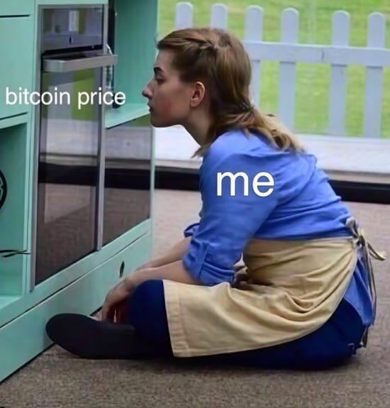 Me staring at Bitcoin price