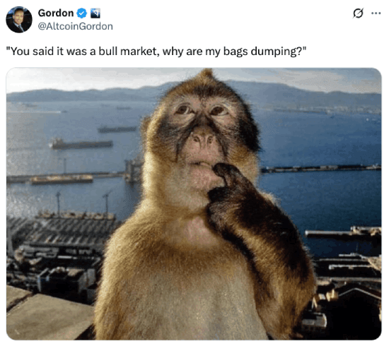 Meme about bags dumping in a bull market