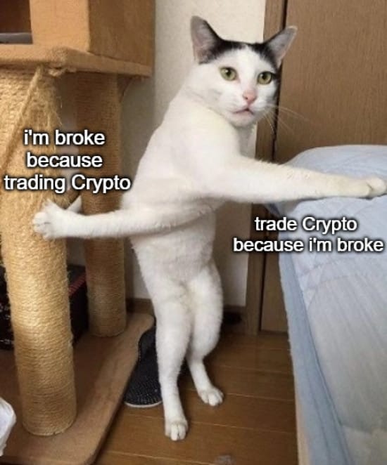 Meme about being broke because of trading but also trading because you're broke
