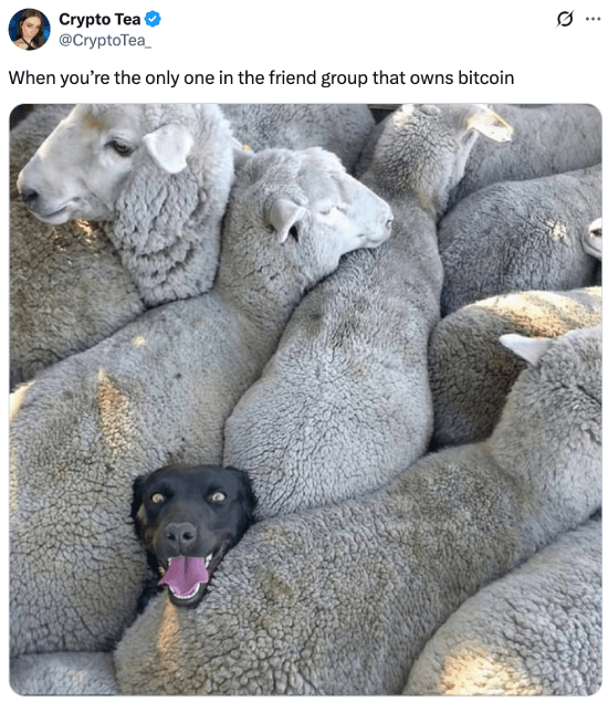 Meme about being the only friend who owns Bitcoin