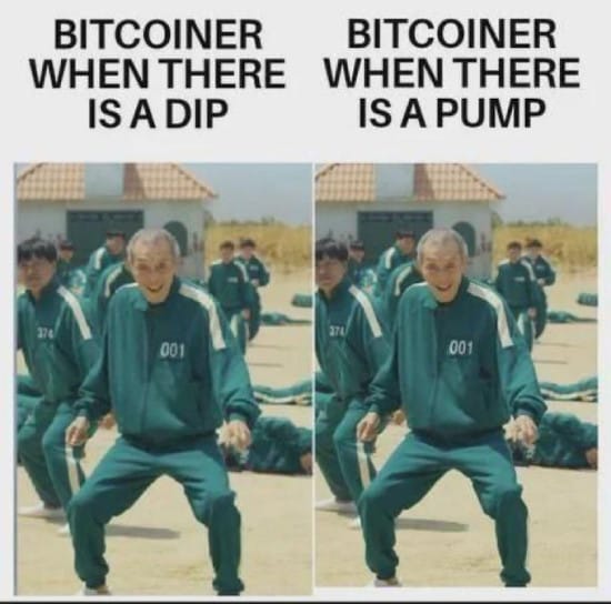 Meme about Bitcoiners when there is a dip vs a pump