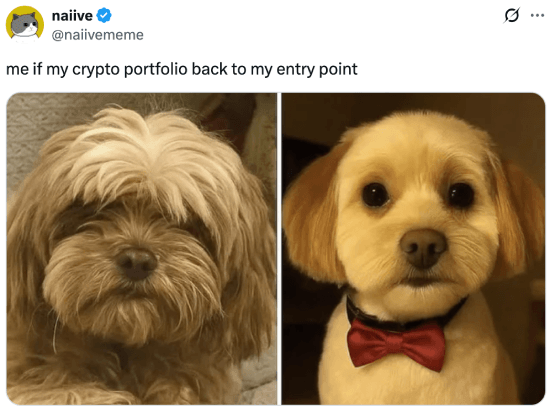 Meme about crypto going back to entry point