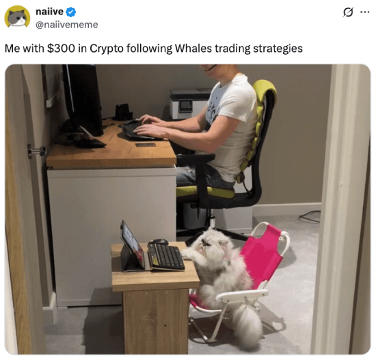 Meme about following whales' trading strategies Meme about following whales' trading strategies