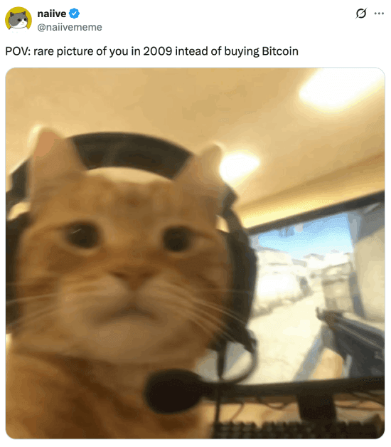 Meme about gaming instead of buying Bitcoin in 2009