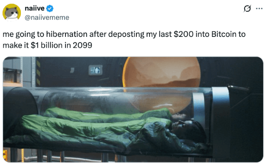 Meme about going to hibernation after depositing last money into Bitcoin