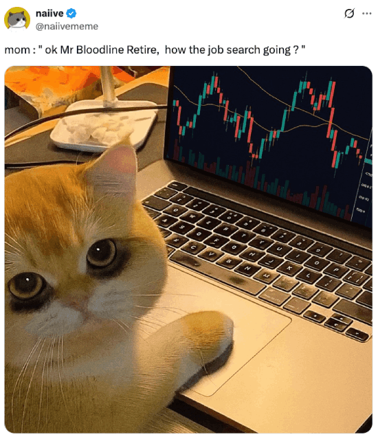 Meme about looking for a job when the market's down
