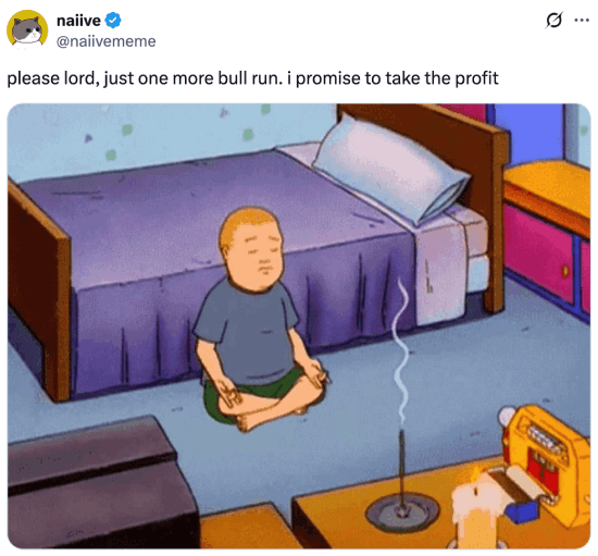 Meme about manifesting one more bull run