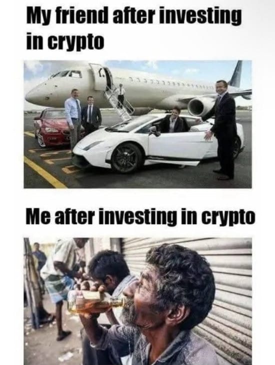 Meme about my friend vs me after investing in crypto