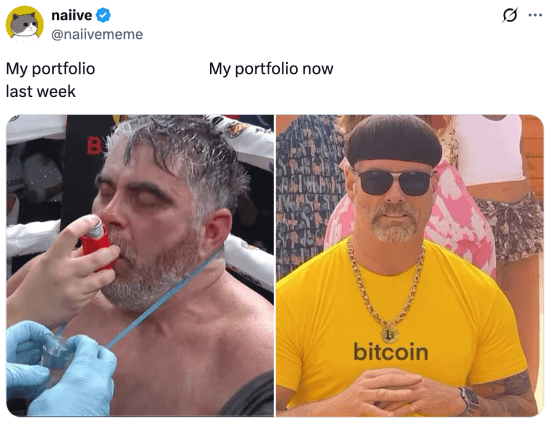 Meme about my portfolio being up this week