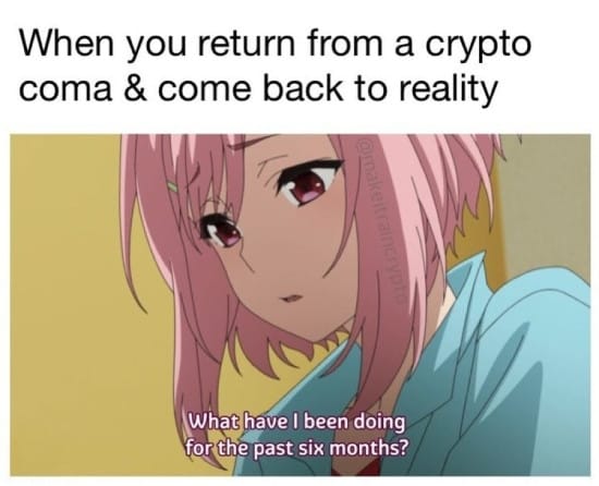Meme about returning from a crypto coma