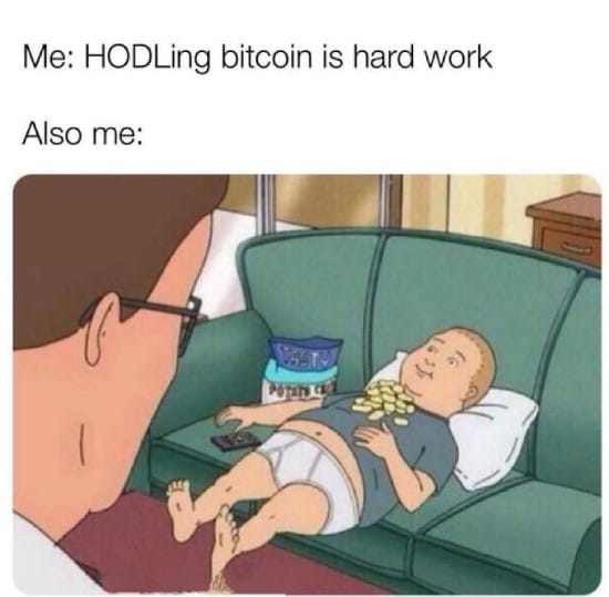 Meme about saying HODLing is hard, but you actually just lay on the couch