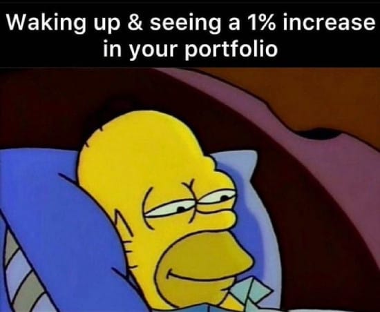Meme about seeing a 1% increase in your portfolio