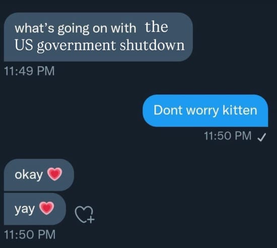 Meme about telling kitten not to worry about US government shutdown