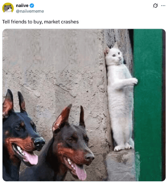 Meme about telling friends to buy and the market crashes