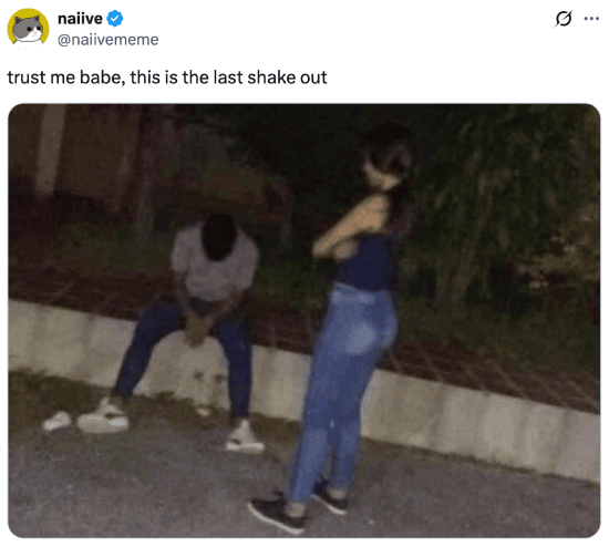 Meme about telling your girlfriend it's the last shake out