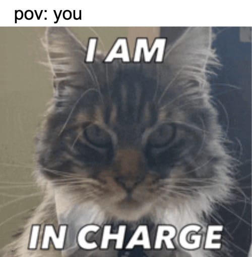Meme about you being in charge