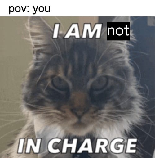 Meme about you not being in charge