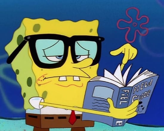 Nerd Spongebob Reading