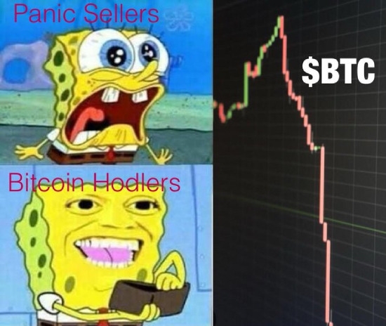 Panic sellers vs hodlers